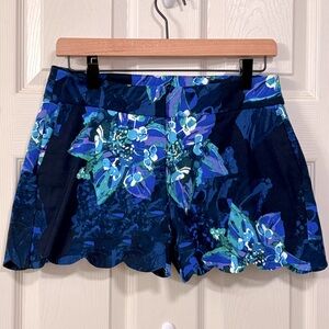 Attyre New York Shorts Beach Shorts Minimalist